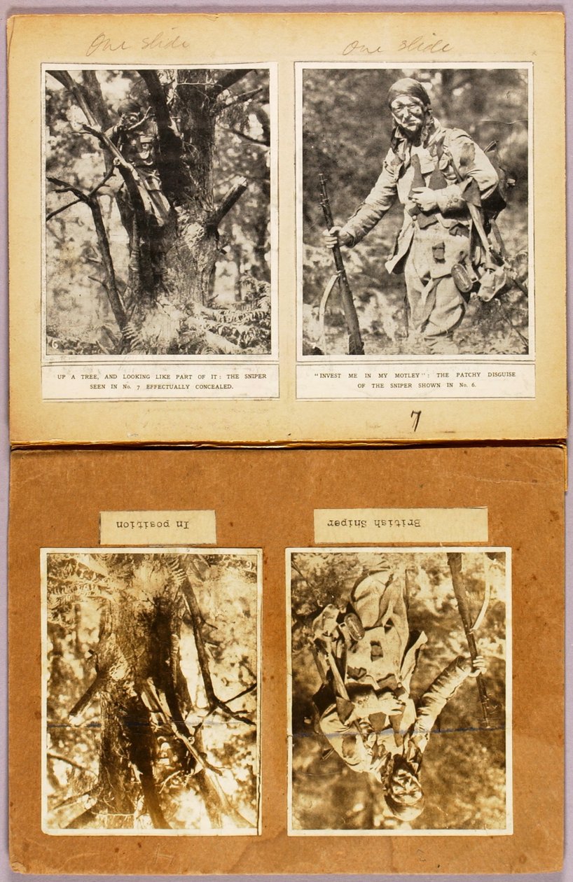 Britische Scharfschützen-Tarnung (frühe Bilder), Studienmappe für das Buch Concealing Coloration in the Animal Kingdom 作： アボット・ハンダーソン・セイヤー