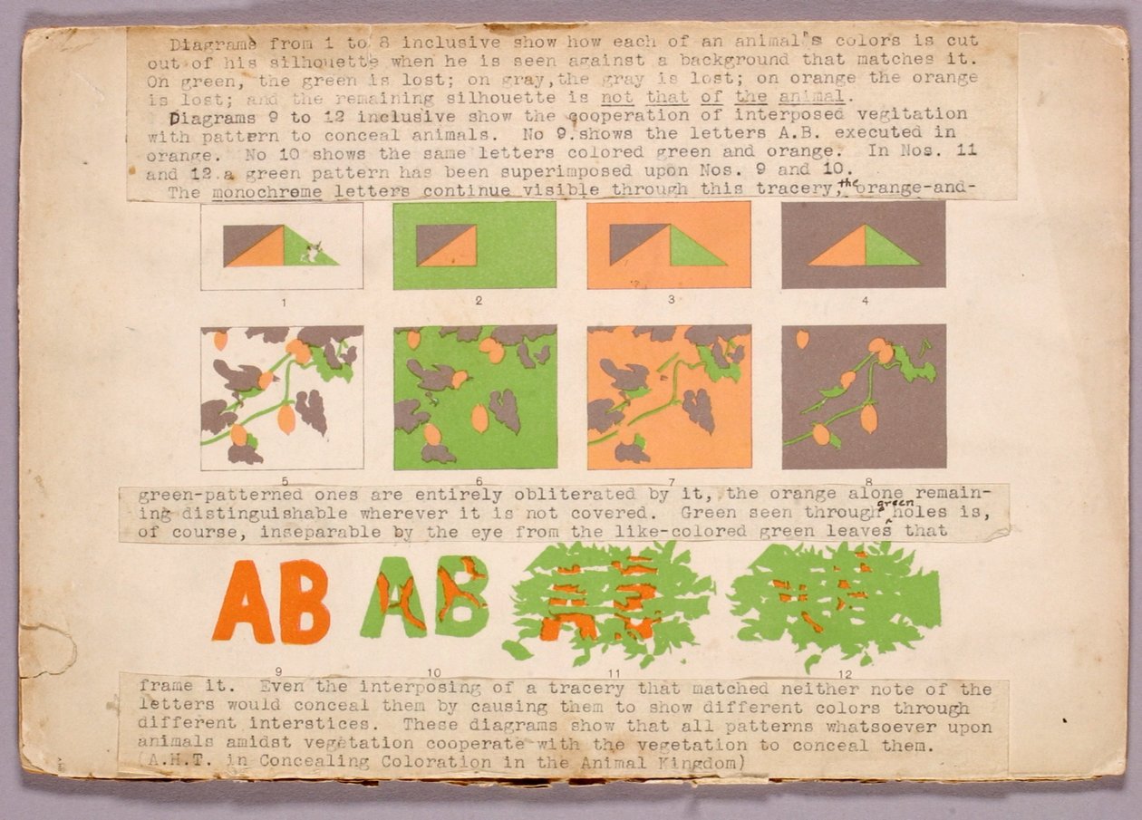 Diagramm und Kupferkopfschlange, Studienmappe für das Buch Concealing Coloration in the Animal Kingdom 作： アボット・ハンダーソン・セイヤー