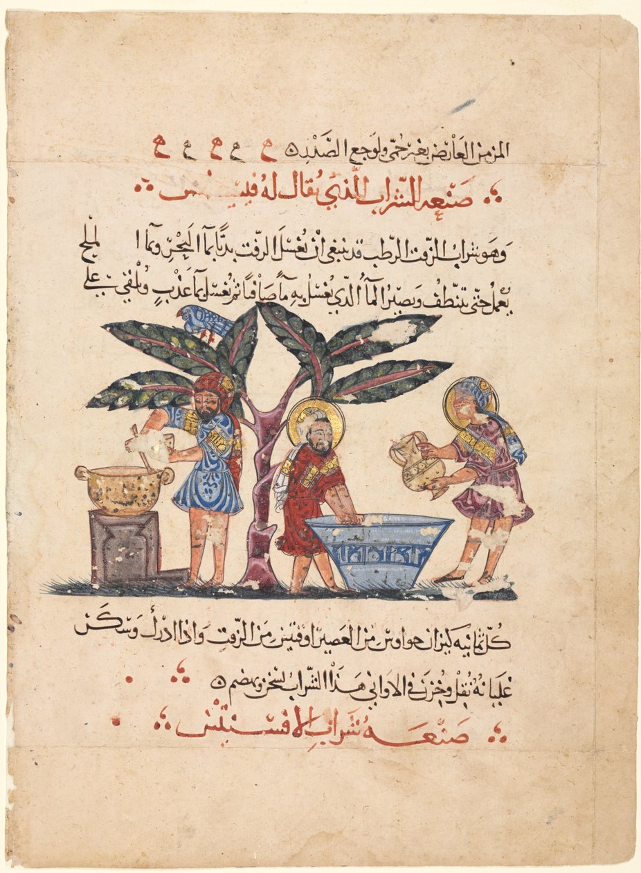 ディオスコリデスのマテリア・メディカのアラビア語訳のフォリオ 作： Abdallah ibn al Fadl（イラク）