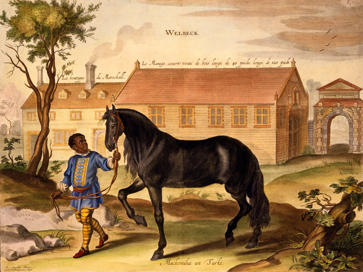 ウィリアムキャベンディッシュの「服装馬の方法と新しい発明」の1737年（第2版）（アクアティント）の「黒人の安定した少年の服を着たトルコ人のマコミリア」 作： アブラハム・ファン・ディーペンベック