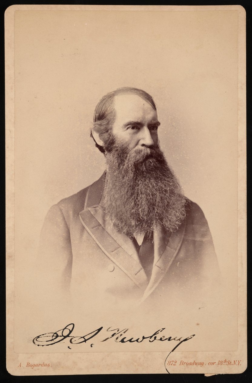 ジョン・ストロング・ニューベリーの肖像 1822～1892年、1876～1887年。 作： エイブラハム・ボガーダス