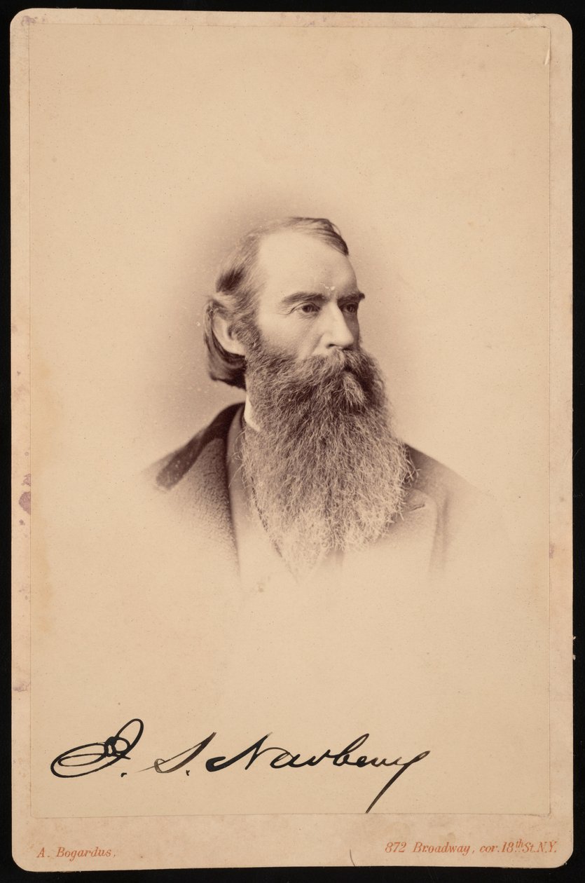 ジョン・ストロング・ニューベリーの肖像、1822～1892年、1876～1887年。 作： エイブラハム・ボガーダス