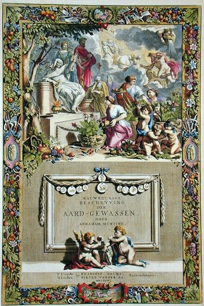 1666年に出版されたAbraham Munting（1626-83）の「Nauwkerige Beschryving der Aard-Gewassen」のタイトルページ（カラー図版） 作： エイブラハム・マンティング