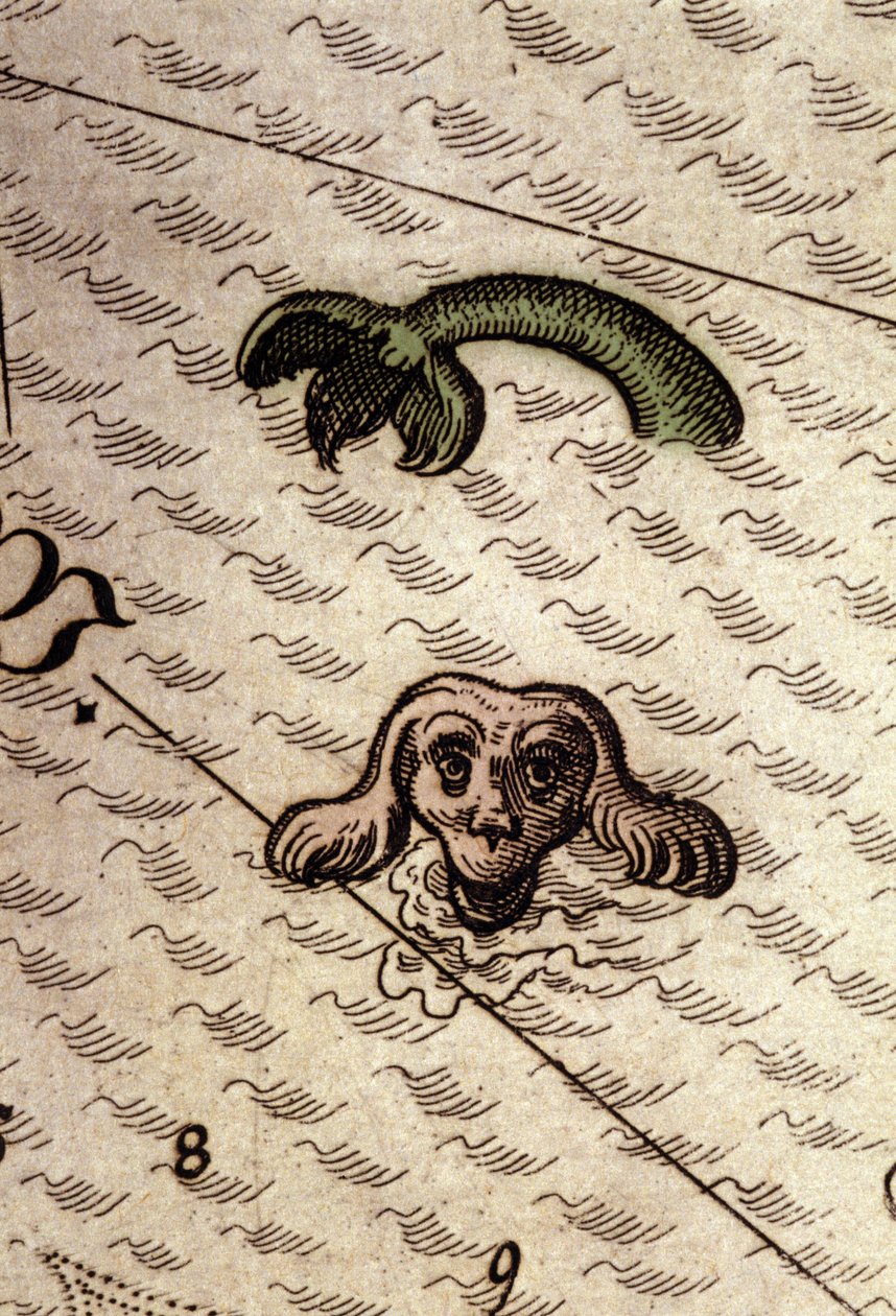 犬の頭と魚の体を持つ海の怪物。アブラハム・オルテリウス作「Theatrum Orbis Terrarum」の地図の詳細、アントワープ1584年。 作： アブラハム・オルテリウス