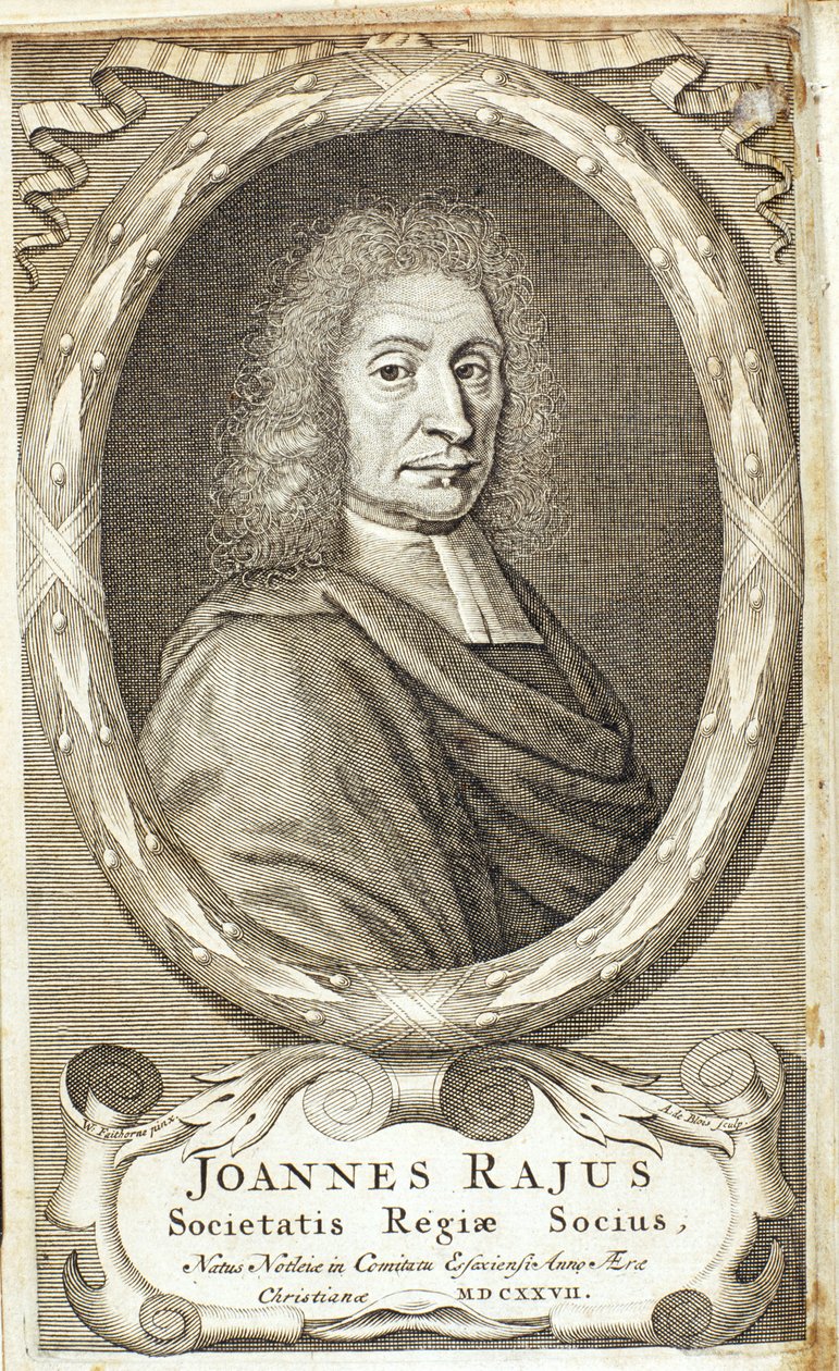 ジョン・レイ、イギリスの博物学者、1680年代 作： アブラハムデブロワ