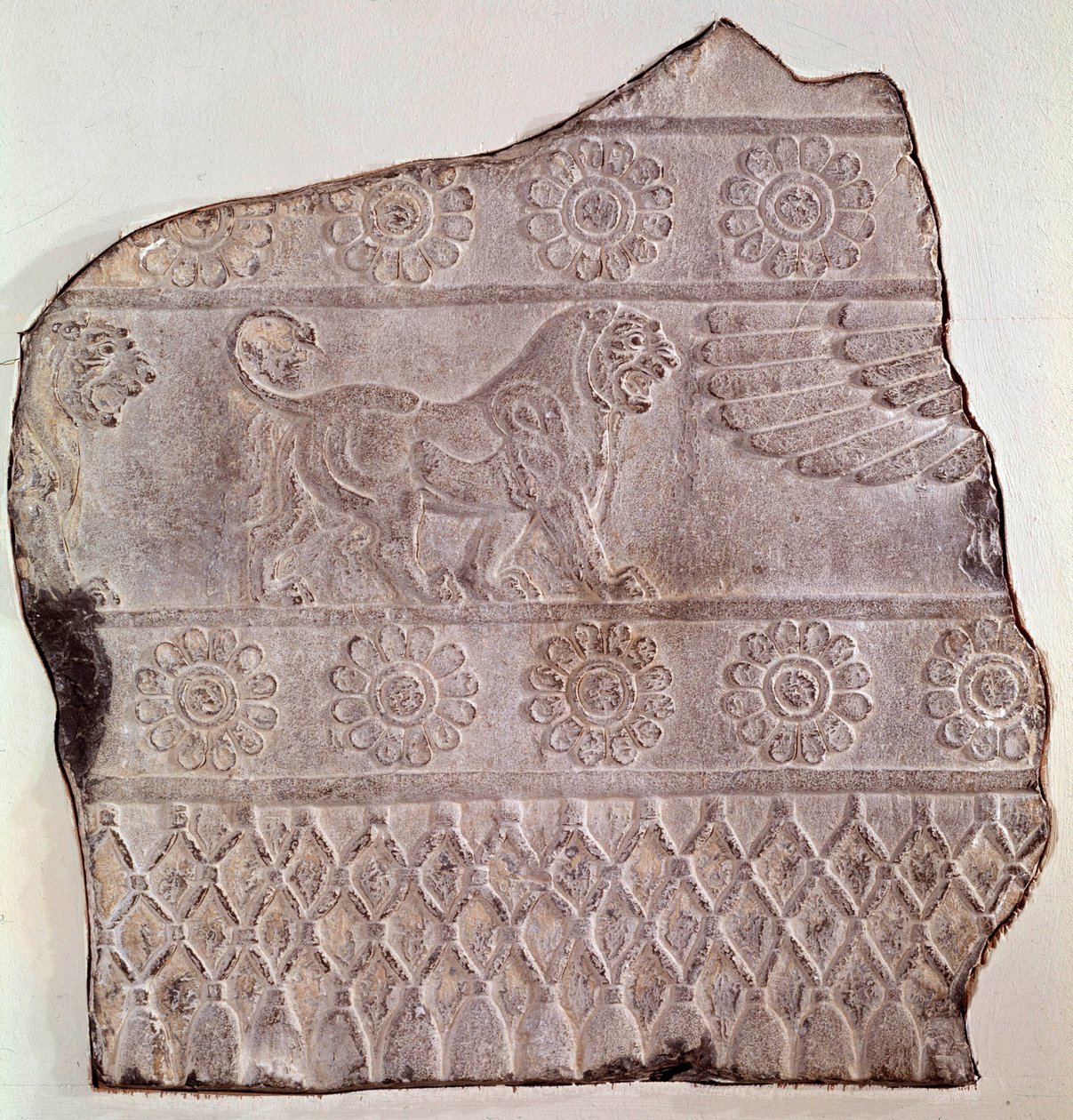 歩行するライオンを表す低層レリーフの断片。ペルセポリス（イラン）出土 紀元前460年 ルテニード期シアトル、アートミュージアム 作： アケメネス朝