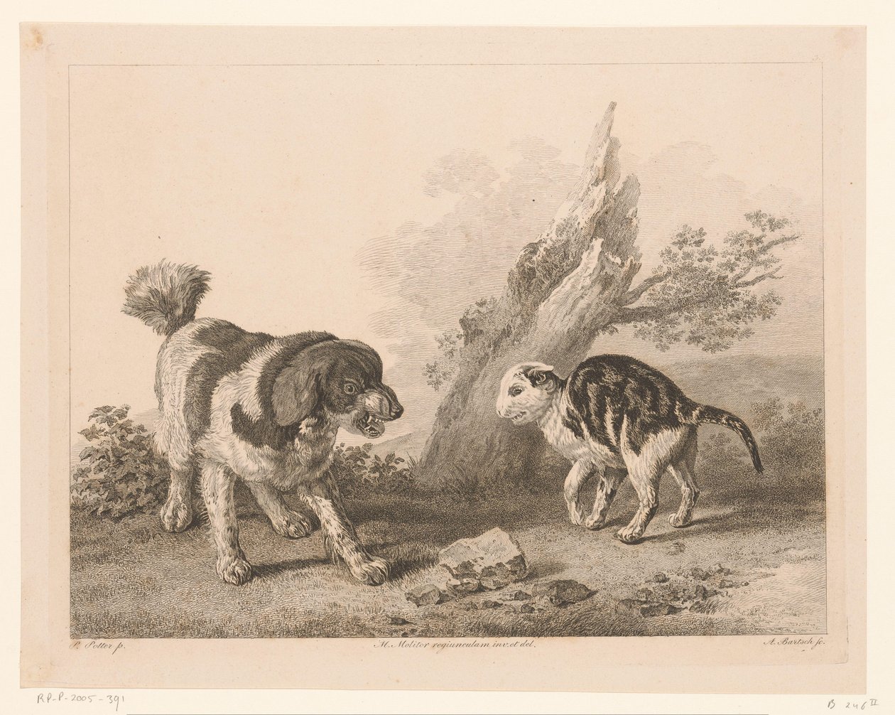 向かい合って戦う体勢の犬と猫 オランダの巨匠による絵画後の動物（シリーズタイトル） Différens animaux gravés d