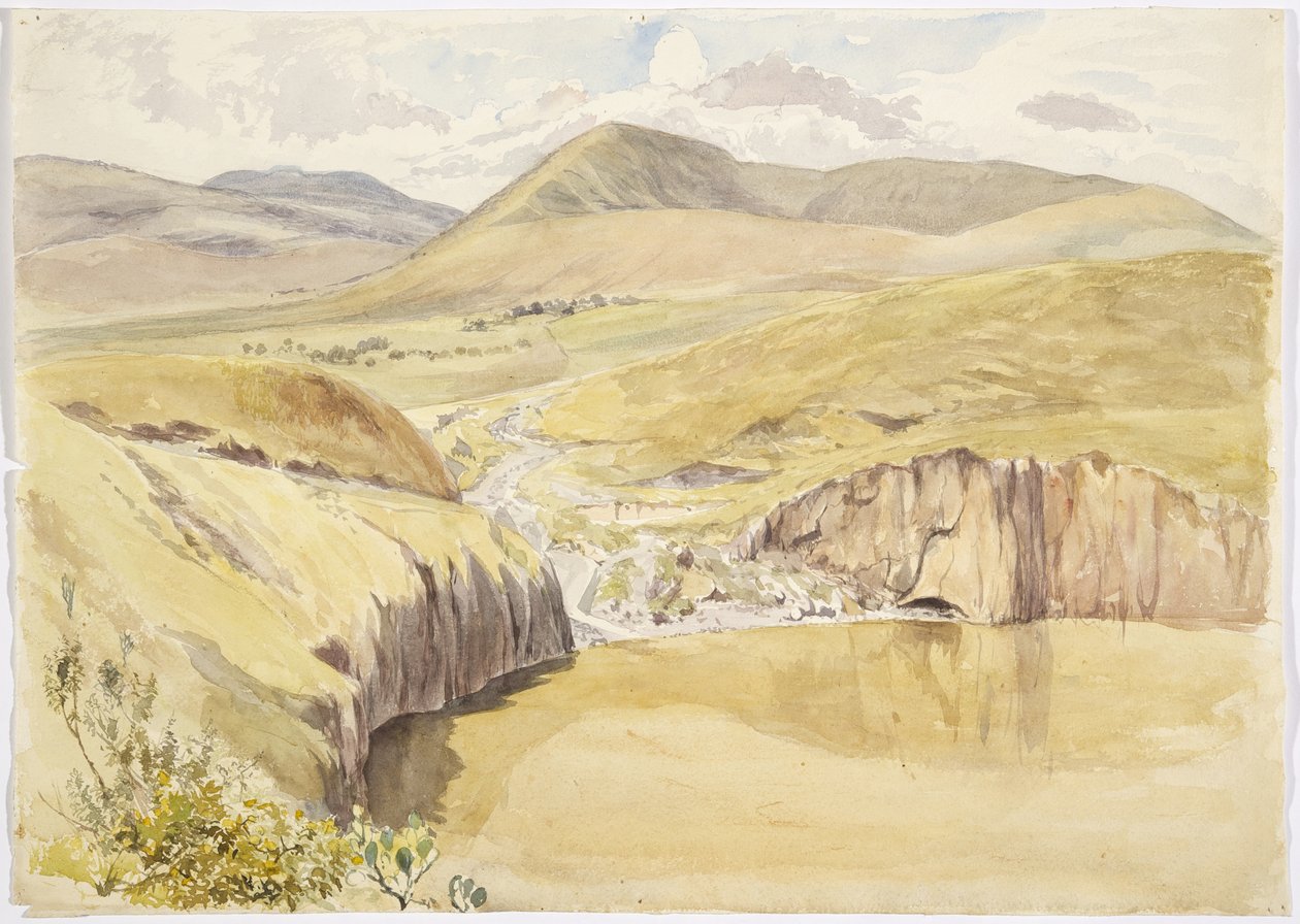 メキシコ、グアナファト、サンティアゴ・デル・バジェ近くのアルベリア（水彩画 作： アデラ・ブレトン