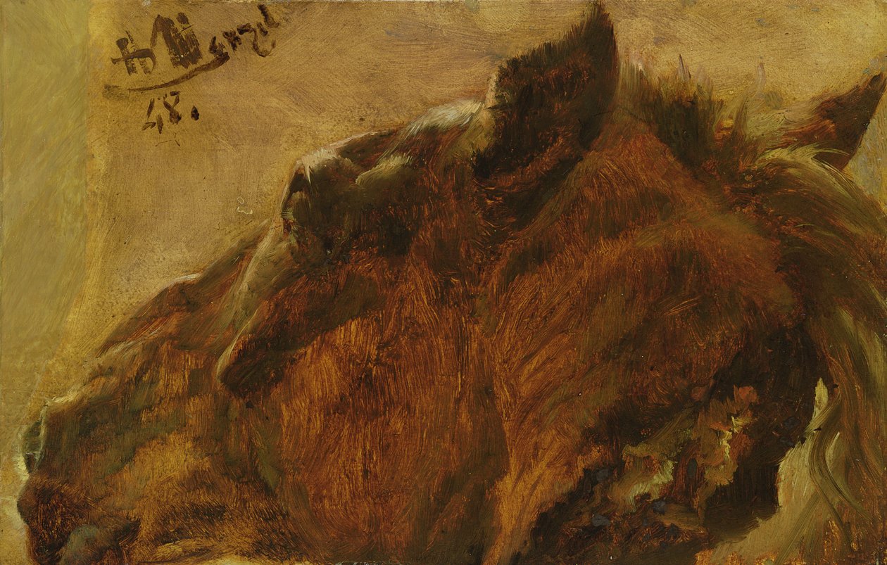 死んだ馬の頭、1848年（キャンバスに油彩、紙に油彩） 作： アドルフ・メンゼル