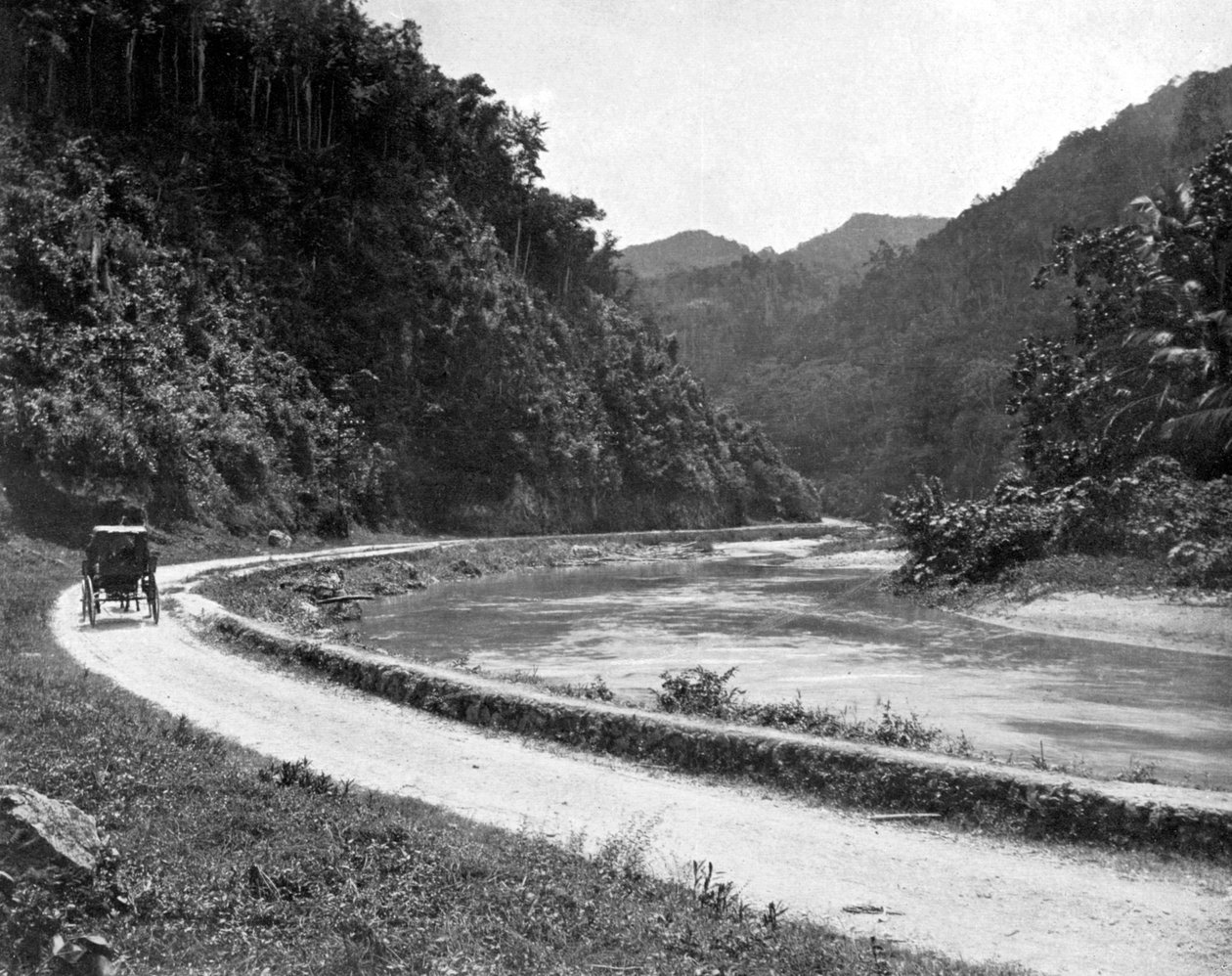 ボグウォーク、ジャマイカ、c1905への道。 作： アドルフ・デュパーリーと息子