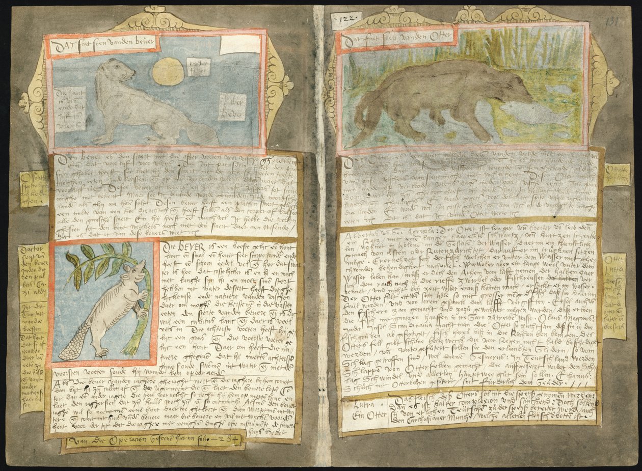 Adriaen CoenenのVisboeck 作： アドリアーン・コーネン