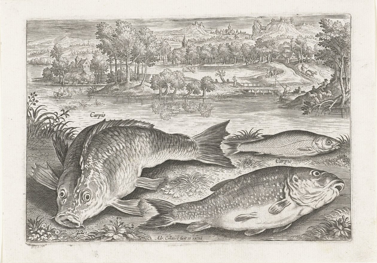 岸辺に 3 匹の鯉 釣り（連載タイトル） Piscium v​​ivae アイコン (シリーズ タイトル) 作： アドリアーン・コラールト