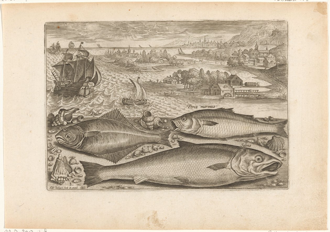ビーチで 3 匹の魚 釣り（連載タイトル） Piscium v​​ivae アイコン (シリーズ タイトル) 作： アドリアーン・コラールト
