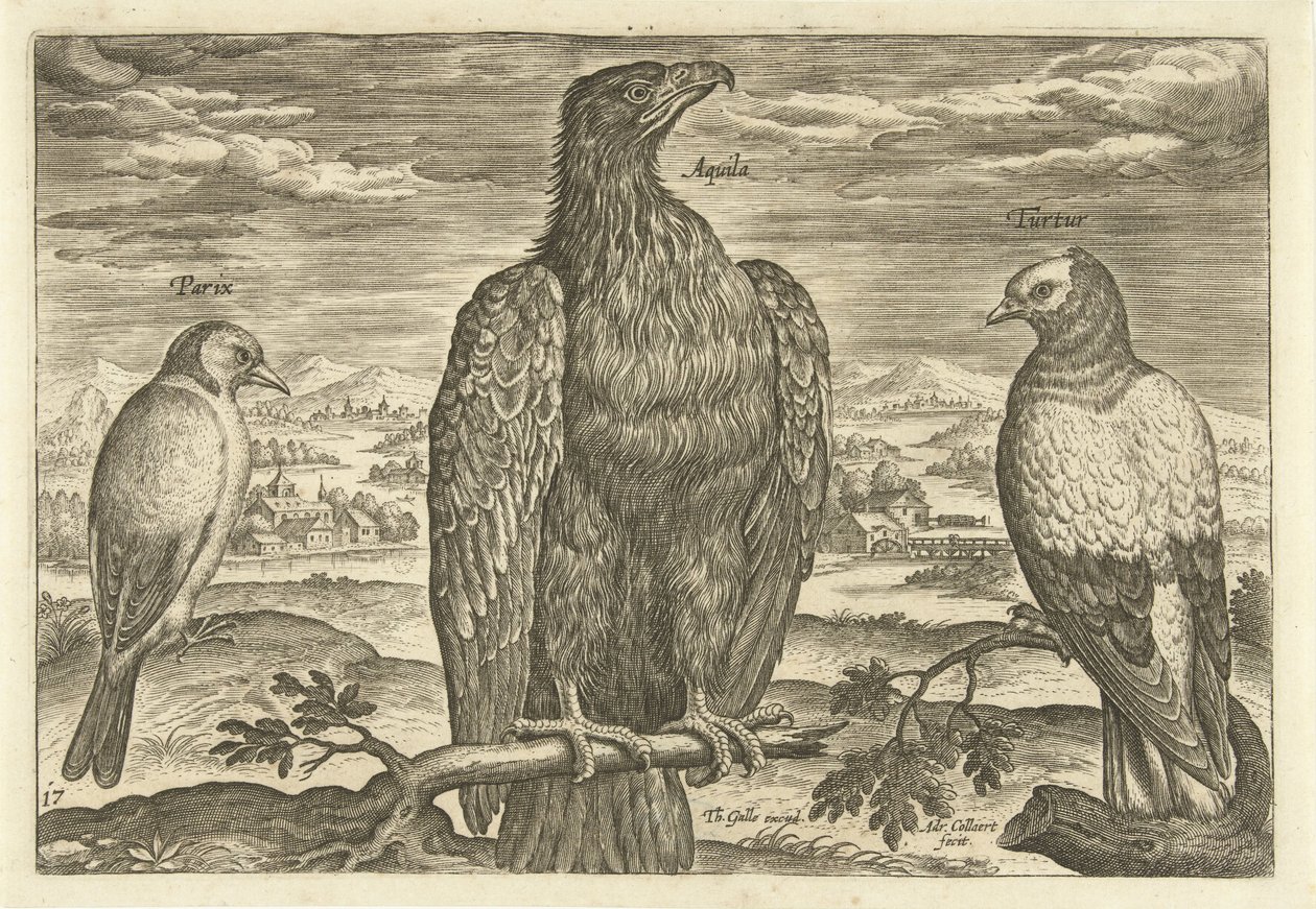 風景の中の 3 羽の鳥 Avium Vivae (シリーズタイトル) 鳥（シリーズタイトル） 作： アドリアーン・コラールト