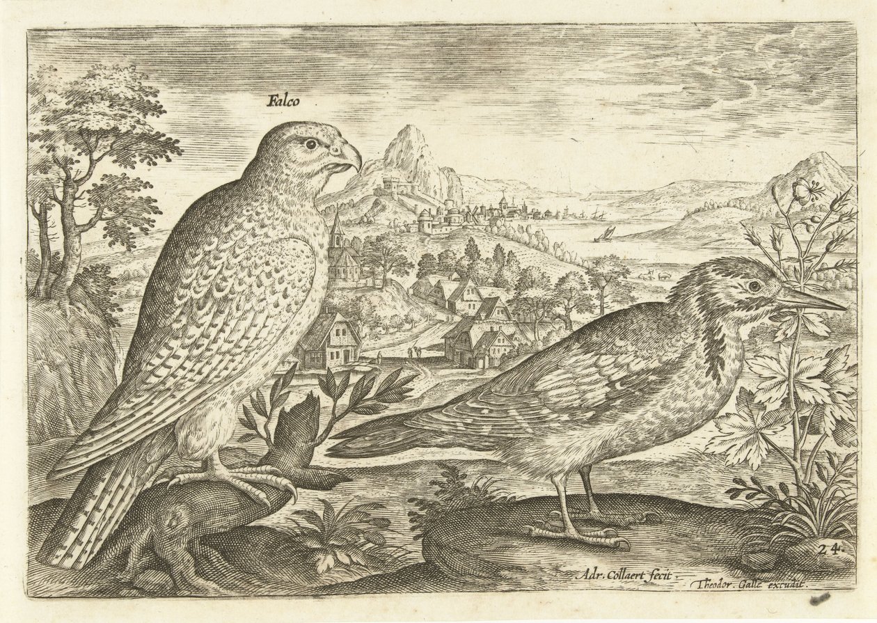 風景の中の 2 羽の鳥 Avium Vivae (シリーズタイトル) 鳥（シリーズタイトル） 作： アドリアーン・コラールト