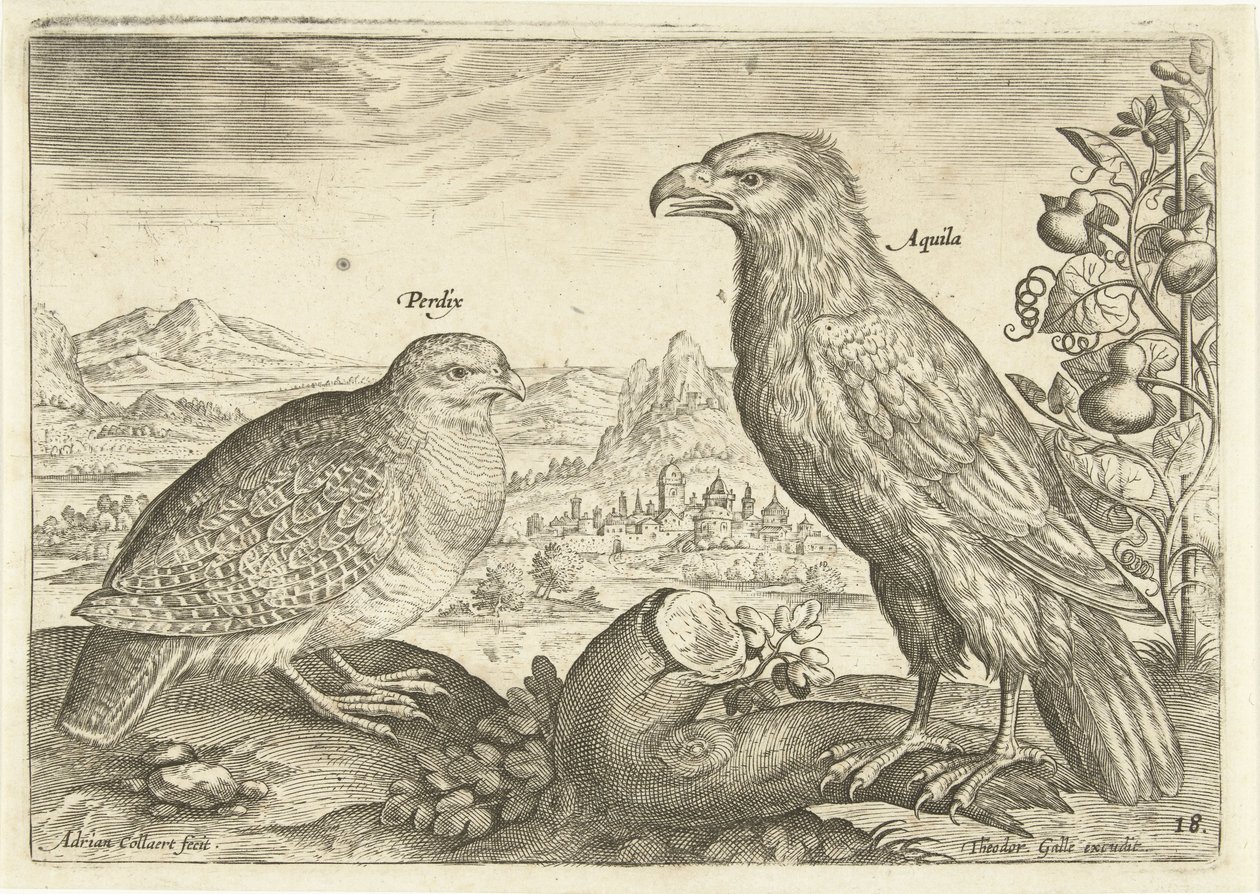 風景の中の 2 羽の鳥 Avium Vivae (シリーズタイトル) 鳥（シリーズタイトル） 作： アドリアーン・コラールト