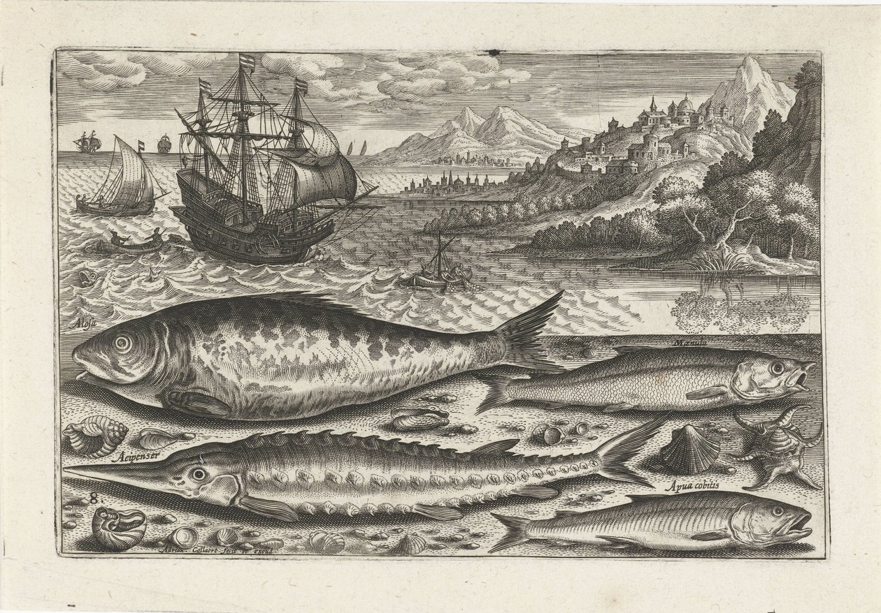 ビーチで 4 匹の魚 釣り（連載タイトル） Piscium v​​ivae アイコン (シリーズ タイトル) 作： アドリアーン・コラールト