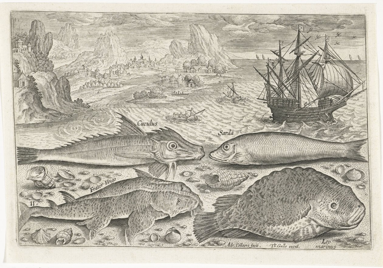 ビーチで 4 匹の魚 釣り（連載タイトル） Piscium v​​ivae アイコン (シリーズ タイトル) 作： アドリアーン・コラールト