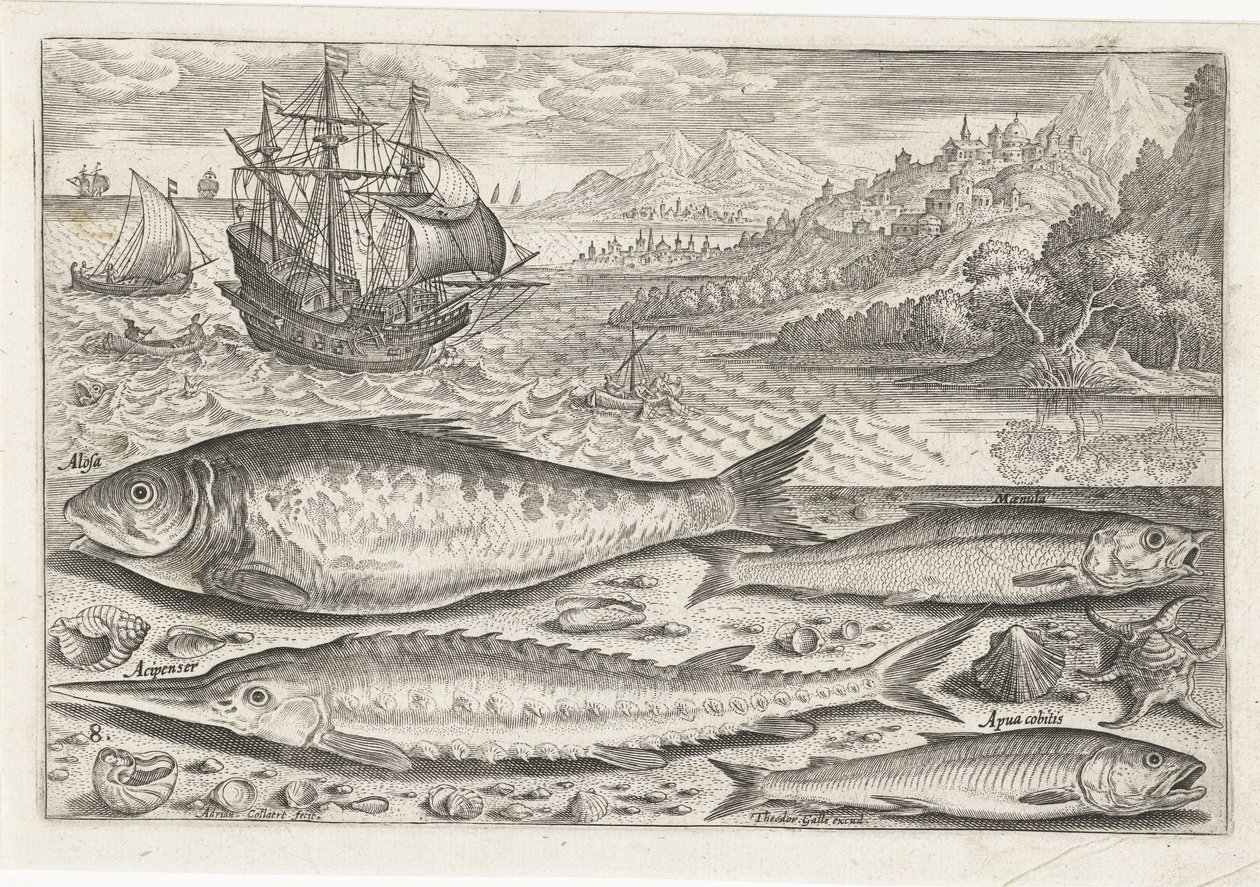 ビーチで 4 匹の魚 釣り（連載タイトル） Piscium v​​ivae アイコン (シリーズ タイトル) 作： アドリアーン・コラールト