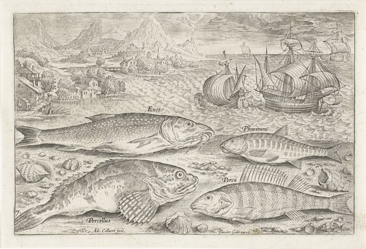 ビーチで 4 匹の魚 釣り（連載タイトル） Piscium v​​ivae アイコン (シリーズ タイトル) 作： アドリアーン・コラールト