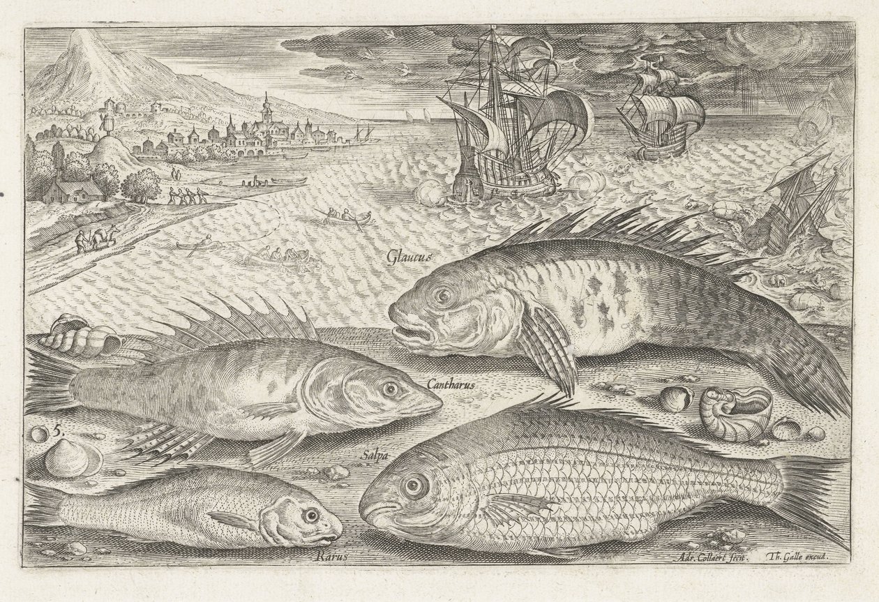 ビーチで 4 匹の魚 釣り（連載タイトル） Piscium v​​ivae アイコン (シリーズ タイトル) 作： アドリアーン・コラールト