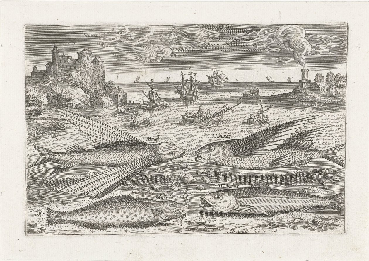 ビーチで 4 匹の魚 釣り（連載タイトル） Piscium v​​ivae アイコン (シリーズ タイトル) 作： アドリアーン・コラールト