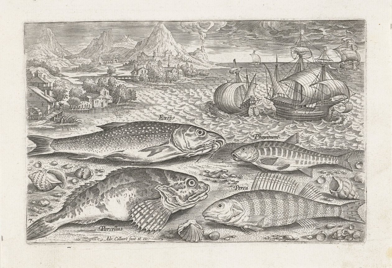 ビーチで 4 匹の魚 釣り（連載タイトル） Piscium v​​ivae アイコン (シリーズ タイトル) 作： アドリアーン・コラールト