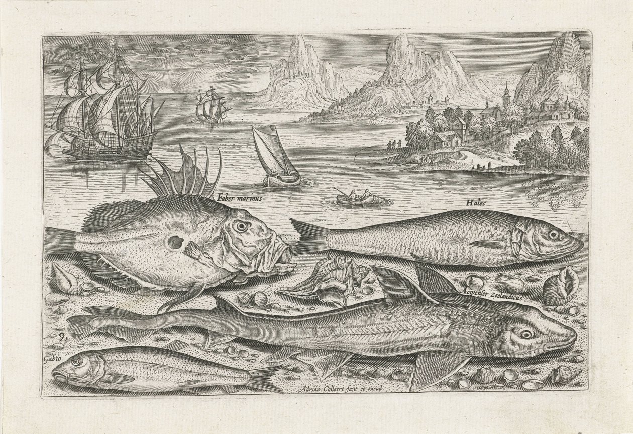 ビーチで 4 匹の魚 釣り（連載タイトル） Piscium v​​ivae アイコン (シリーズ タイトル) 作： アドリアーン・コラールト
