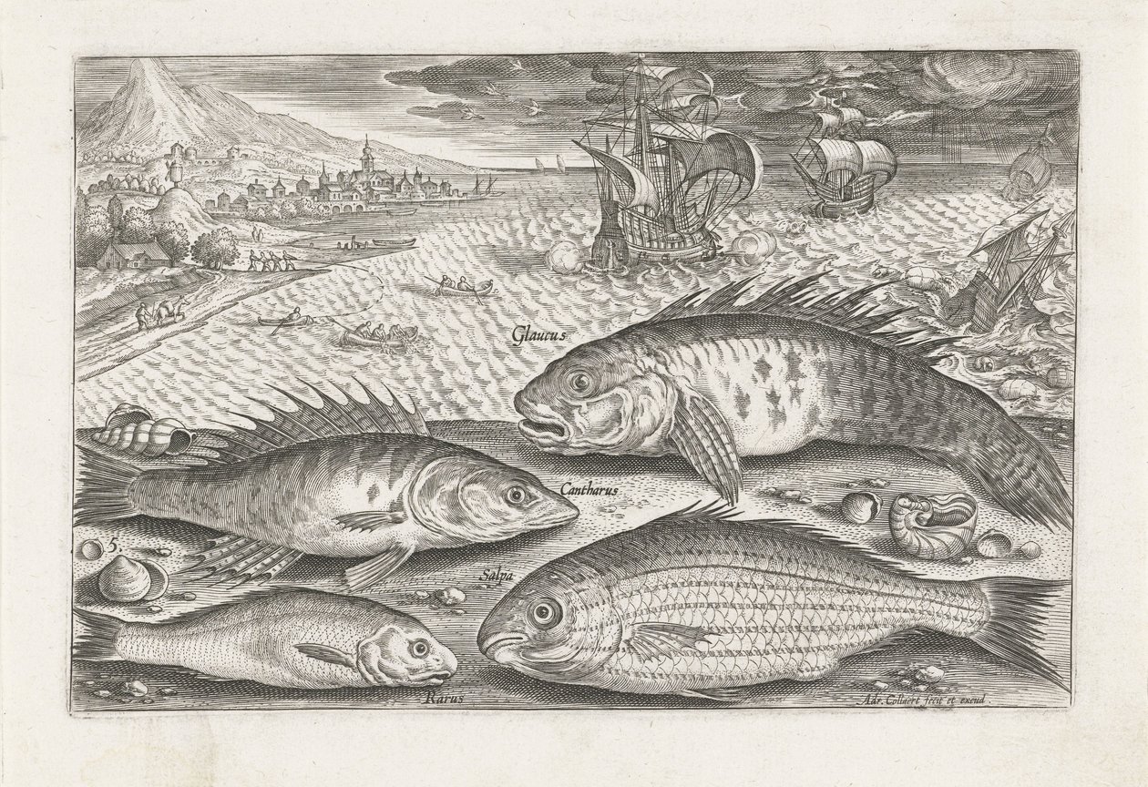 ビーチで 4 匹の魚 釣り（連載タイトル） Piscium v​​ivae アイコン (シリーズ タイトル) 作： アドリアーン・コラールト