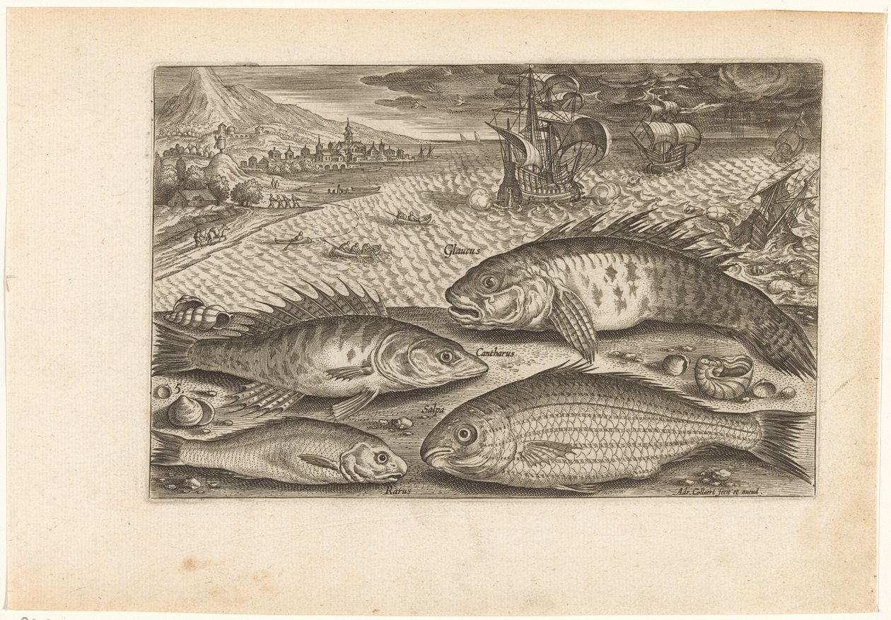 ビーチで 4 匹の魚 釣り（連載タイトル） Piscium v​​ivae アイコン (シリーズ タイトル) 作： アドリアーン・コラールト