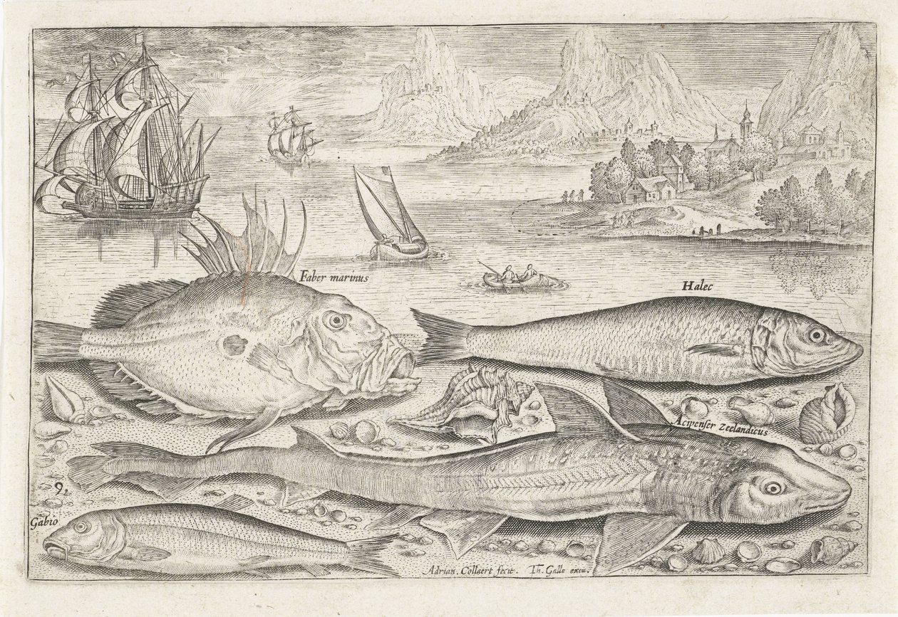ビーチで 4 匹の魚 釣り（連載タイトル） Piscium v​​ivae アイコン (シリーズ タイトル) 作： アドリアーン・コラールト