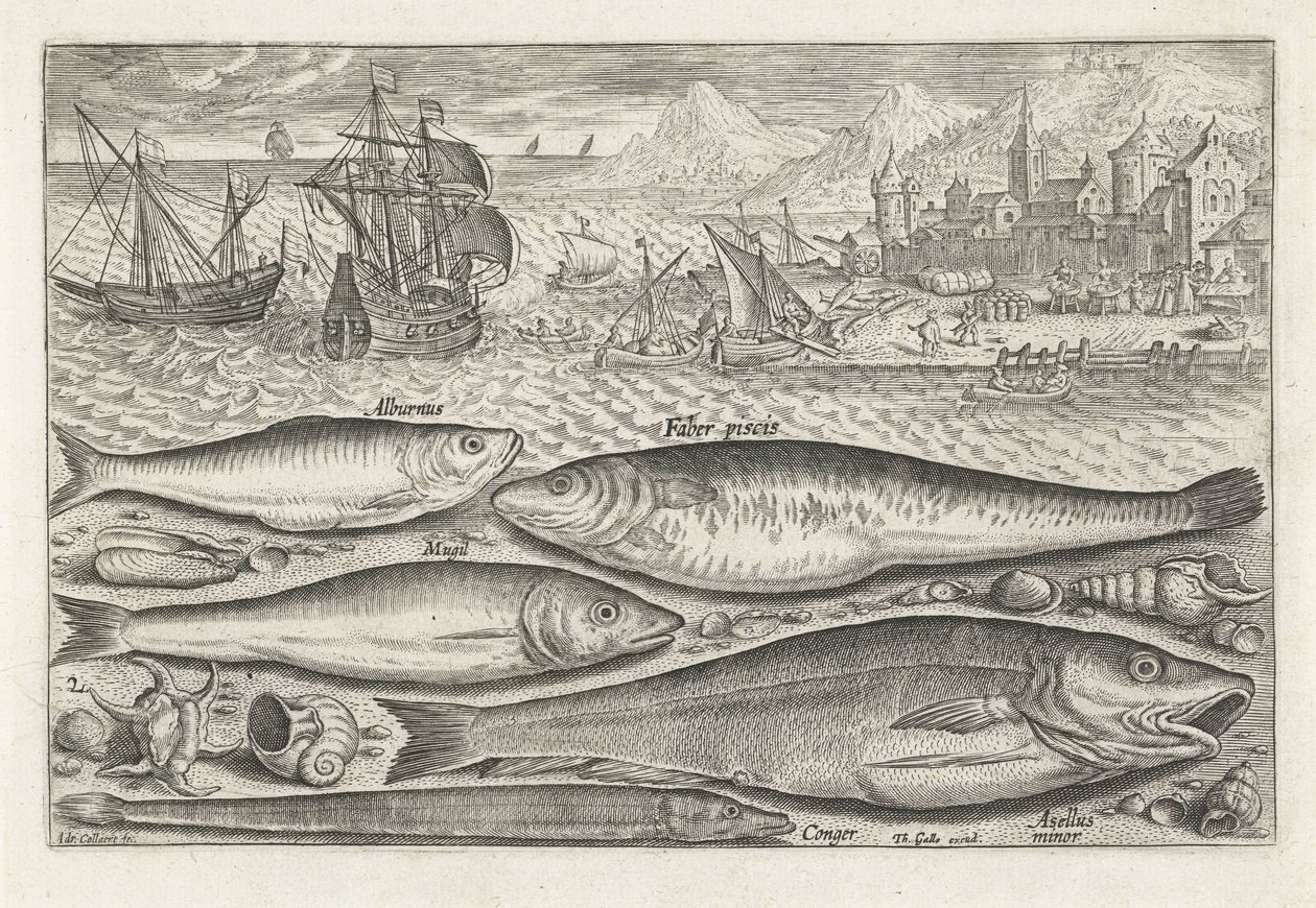 ビーチで 5 匹の魚 釣り（連載タイトル） Piscium v​​ivae アイコン (シリーズ タイトル) 作： アドリアーン・コラールト