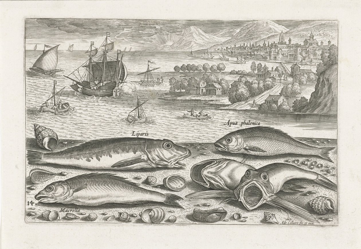 ビーチで 5 匹の魚 釣り（連載タイトル） Piscium v​​ivae アイコン (シリーズ タイトル) 作： アドリアーン・コラールト