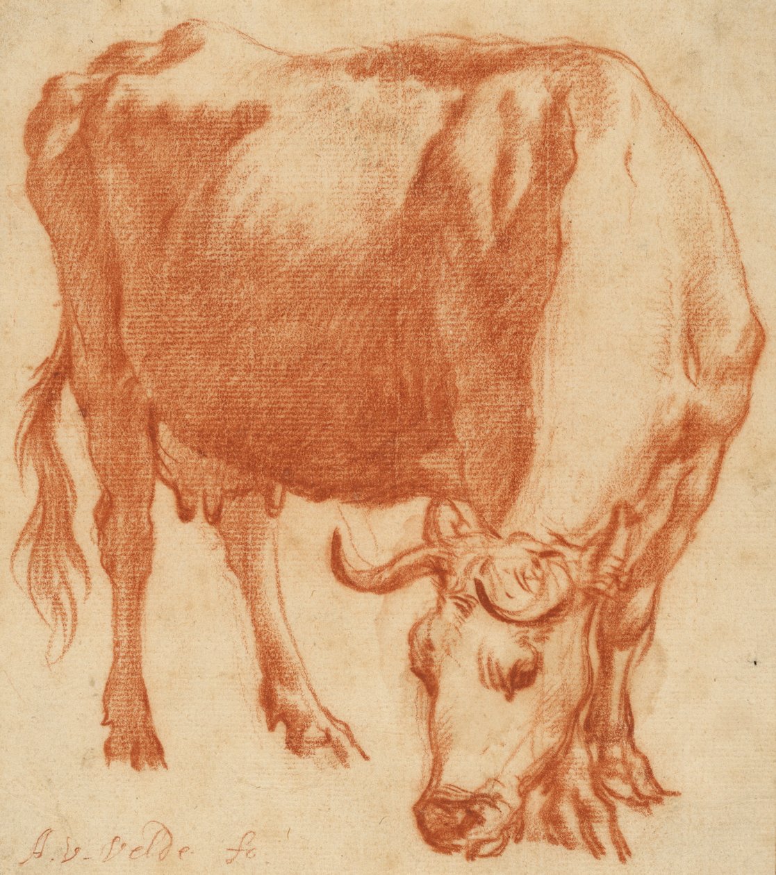 牛の放牧、1663年頃（赤チョーク画） 作： Adriaen van de Velde