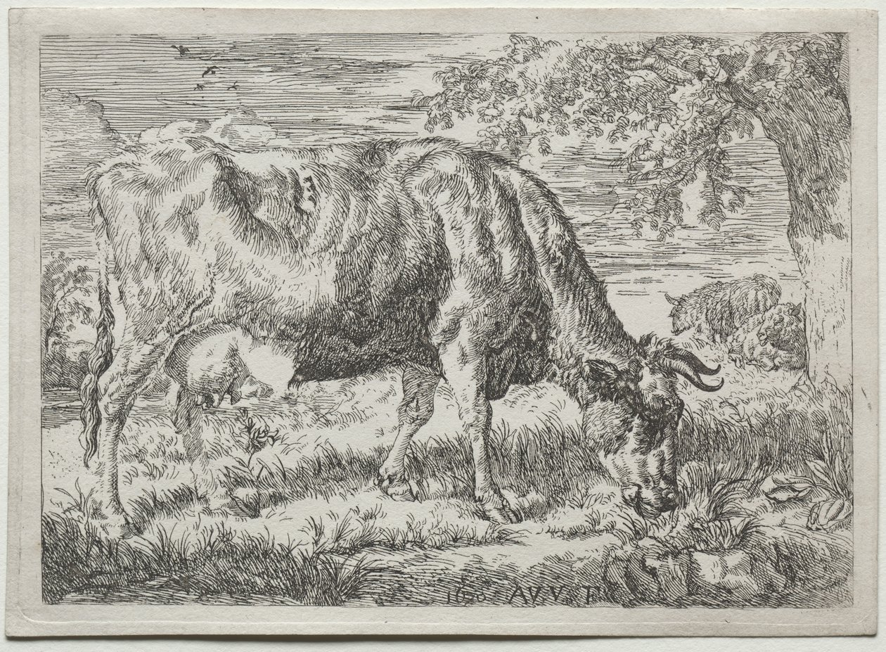 木のふもとにいる牛と 2 匹の羊 作： Adriaen van de Velde