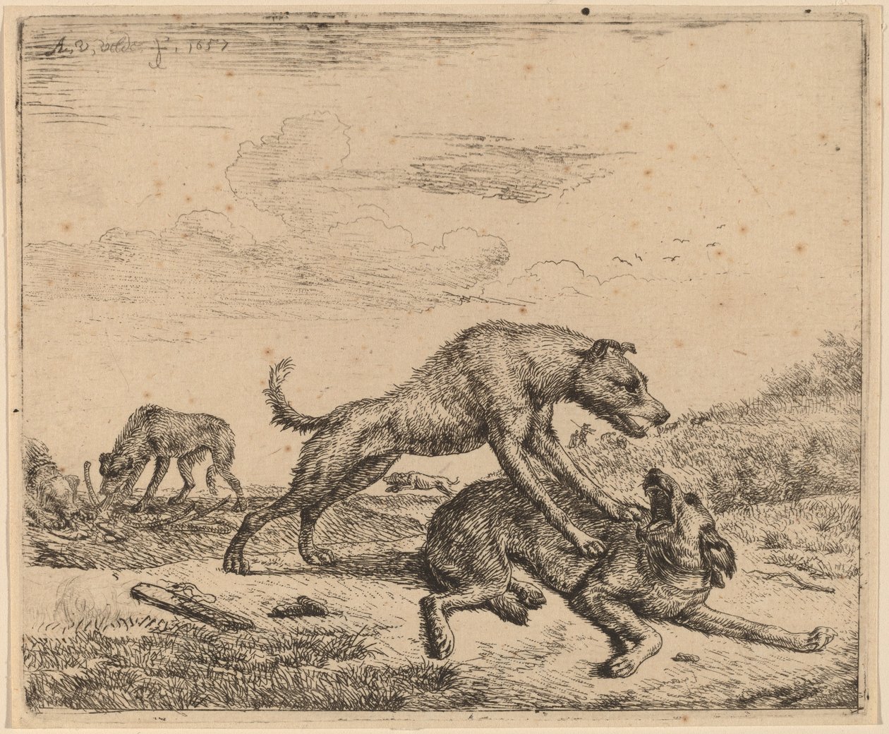 闘犬 | Adriaen van de Velde | アートプリント
