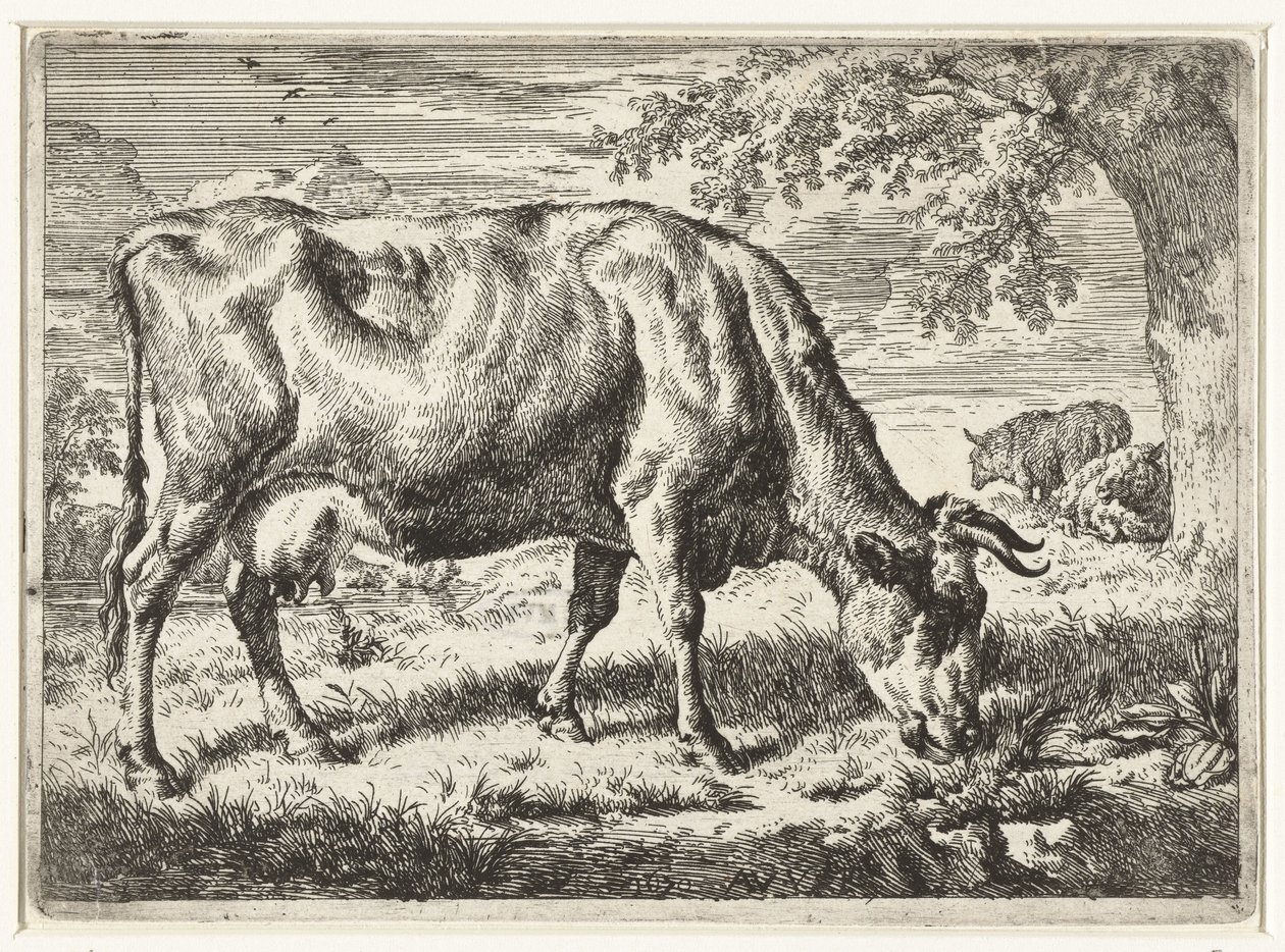放牧牛と 2 頭の羊 牛と羊（シリーズタイトル） 作： Adriaen van de Velde
