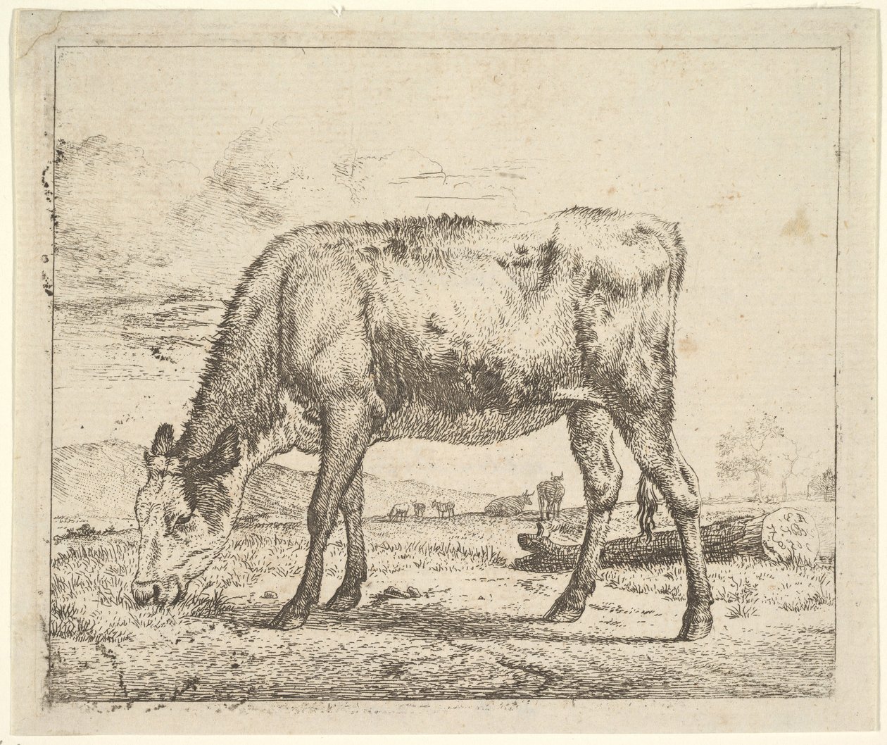 さまざまな動物の子牛の放牧、1658年。 作： Adriaen van de Velde