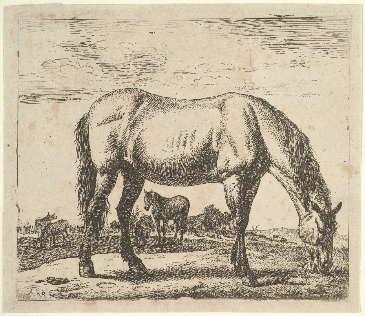 さまざまな動物からの放牧馬。 作： Adriaen van de Velde