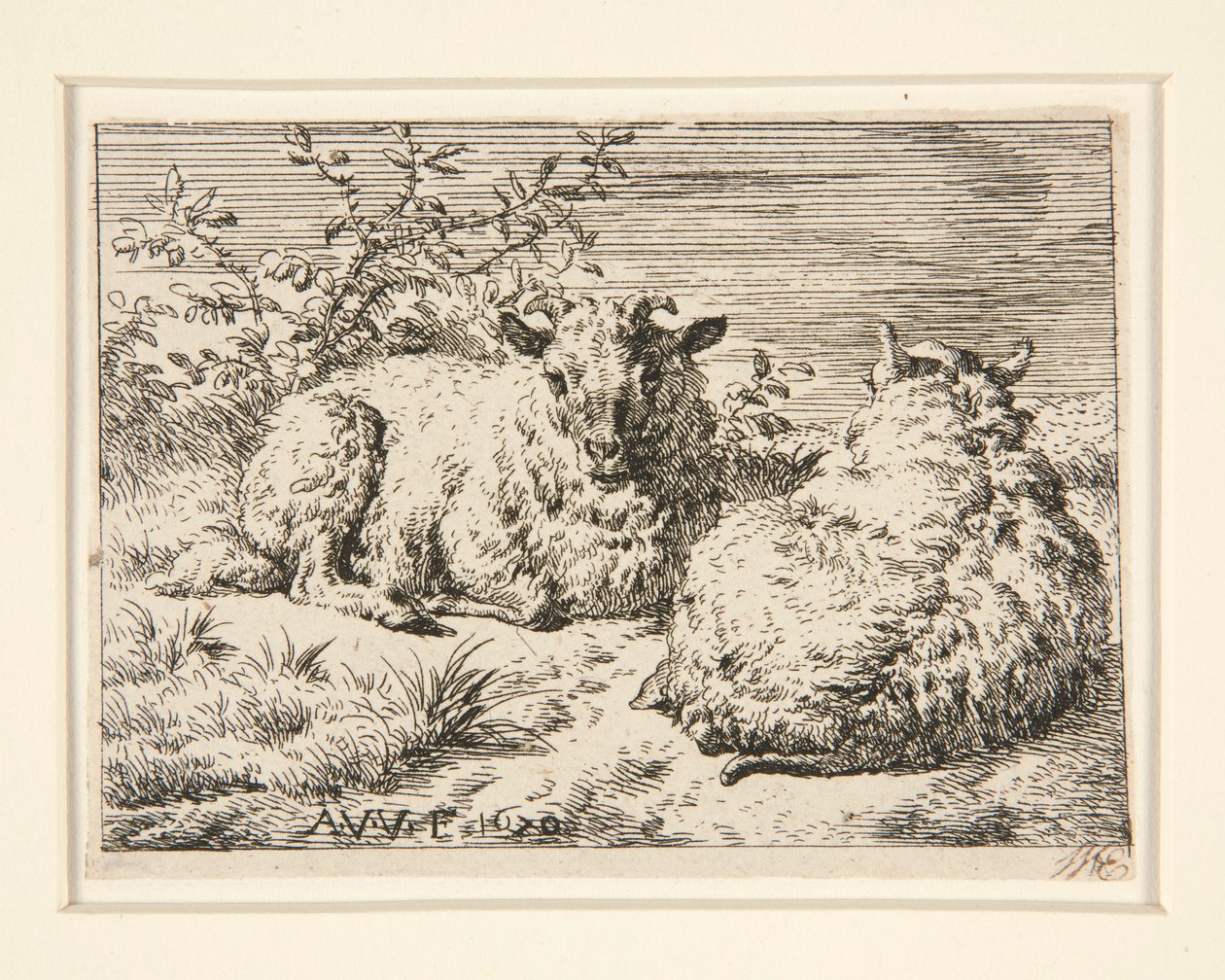 二匹の羊 | Adriaen van de Velde