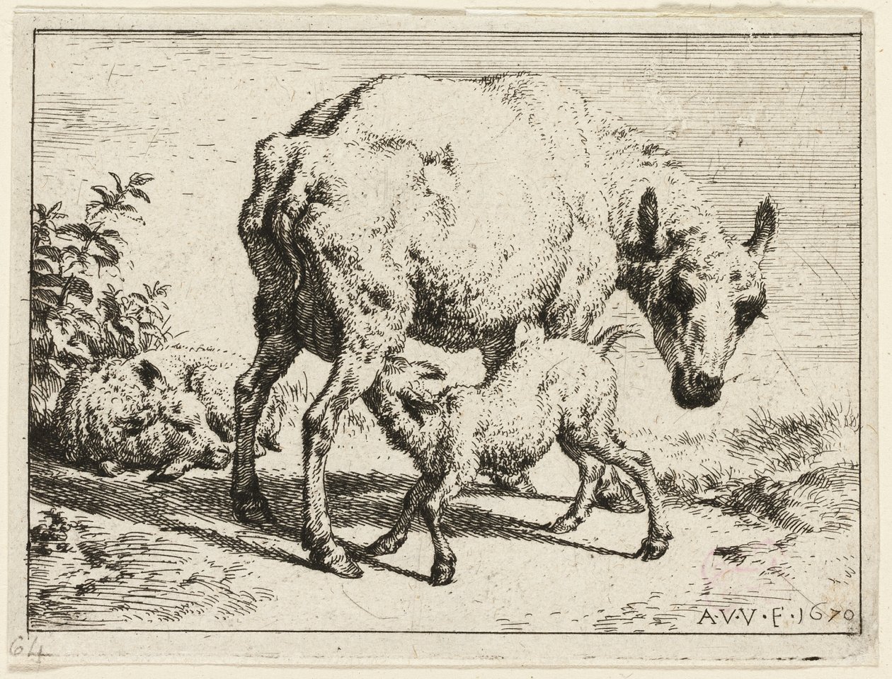 子羊 作： Adriaen van de Velde