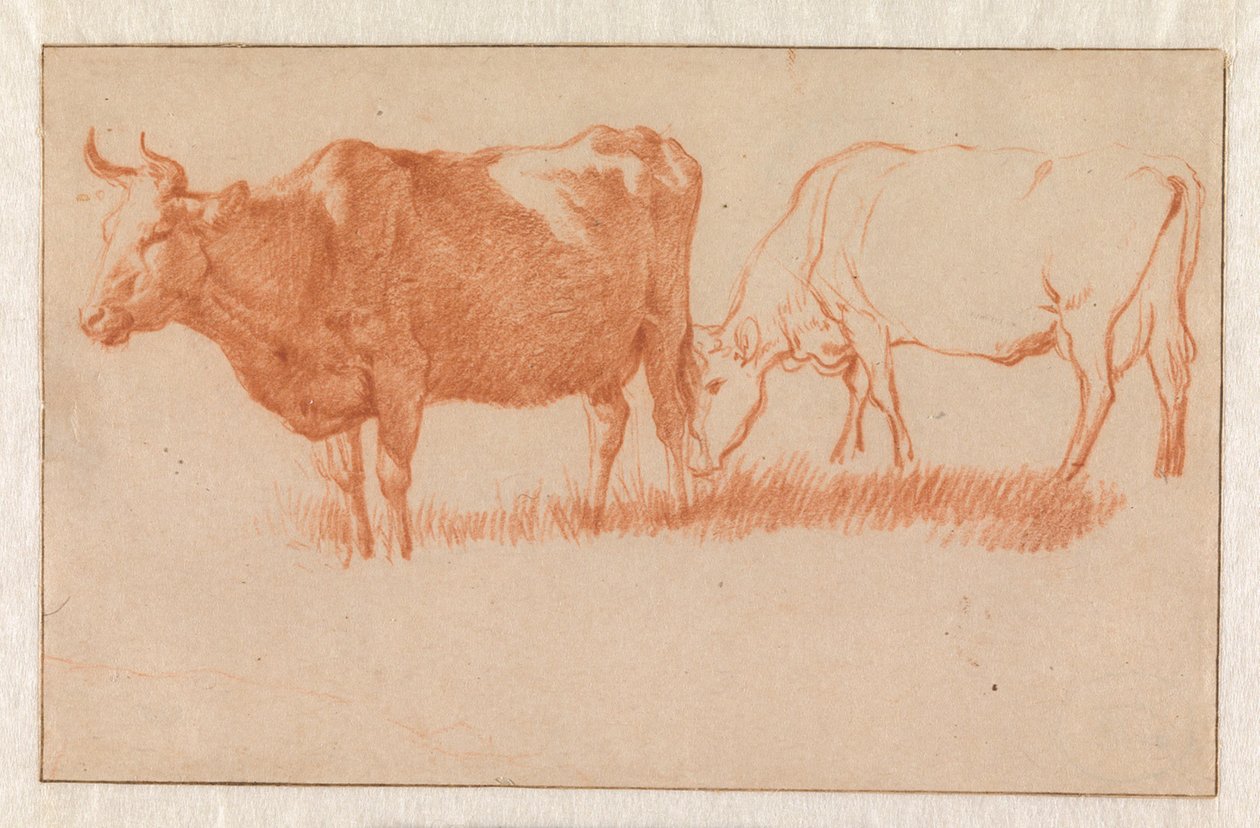 2頭の雌牛 作： Adriaen van de Velde