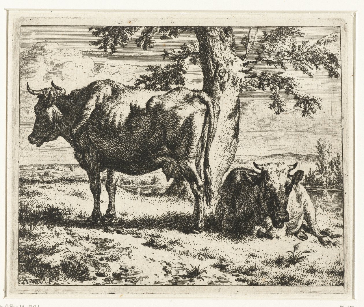 木の下で 2 頭の牛 牛と羊（シリーズタイトル） 作： Adriaen van de Velde