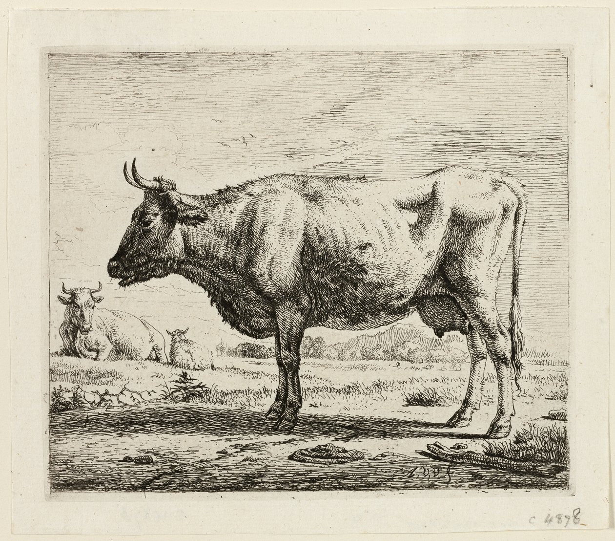 2頭の牛と1頭の羊 作： Adriaen van de Velde