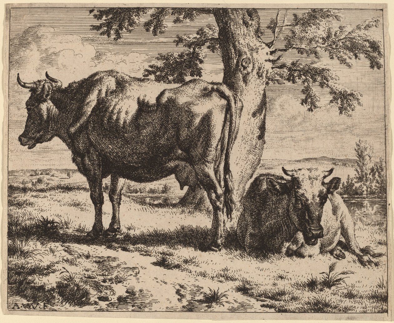 木の下で 2 頭の牛 作： Adriaen van de Velde
