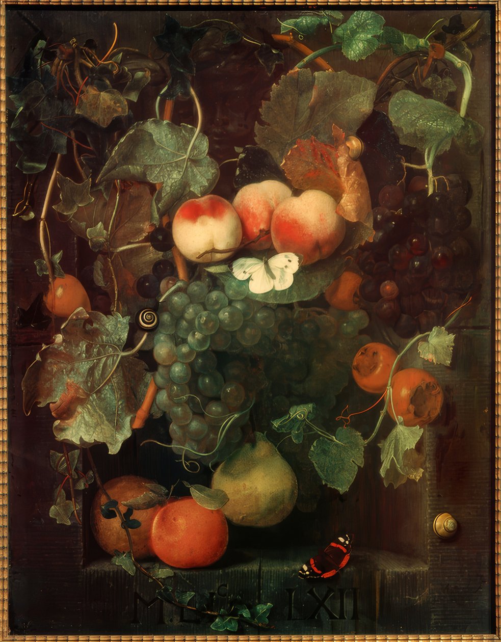 蝶とカタツムリが 1 つに果物のある静物 作： Adriaen van der Spelled