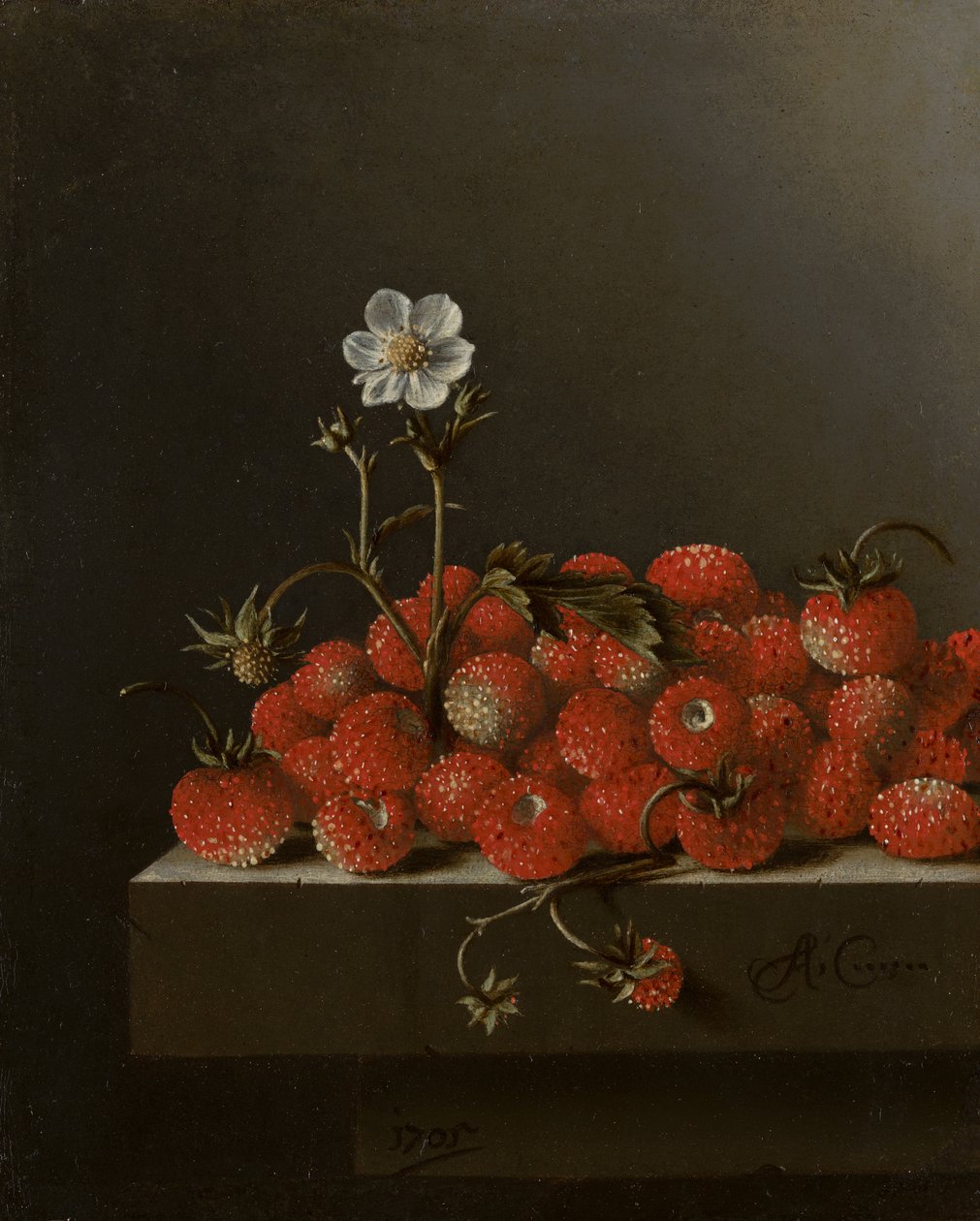 野生のイチゴのある静物、1705年（パネルに紙に油彩） 作： エイドリアン・コート