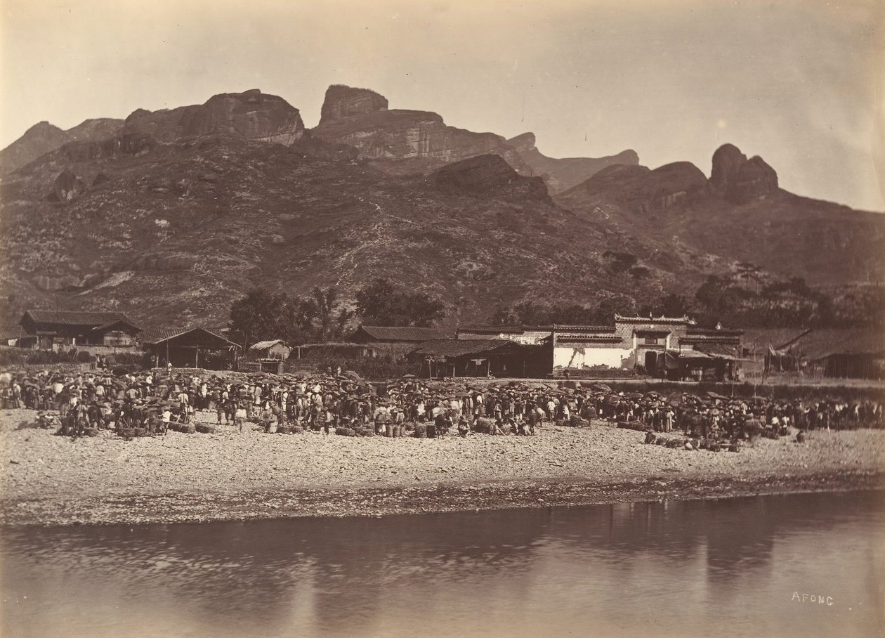 Duck Market, ca. 1869.    1185359   ja       japanese Successfully Translated  Original: Mission pénible et délicate du professeur de dessin... Translat: Mission pénible et délicate du professeur de dessin... 1251569 ja japanese Successfully Translated Ori 作： アフォンライ