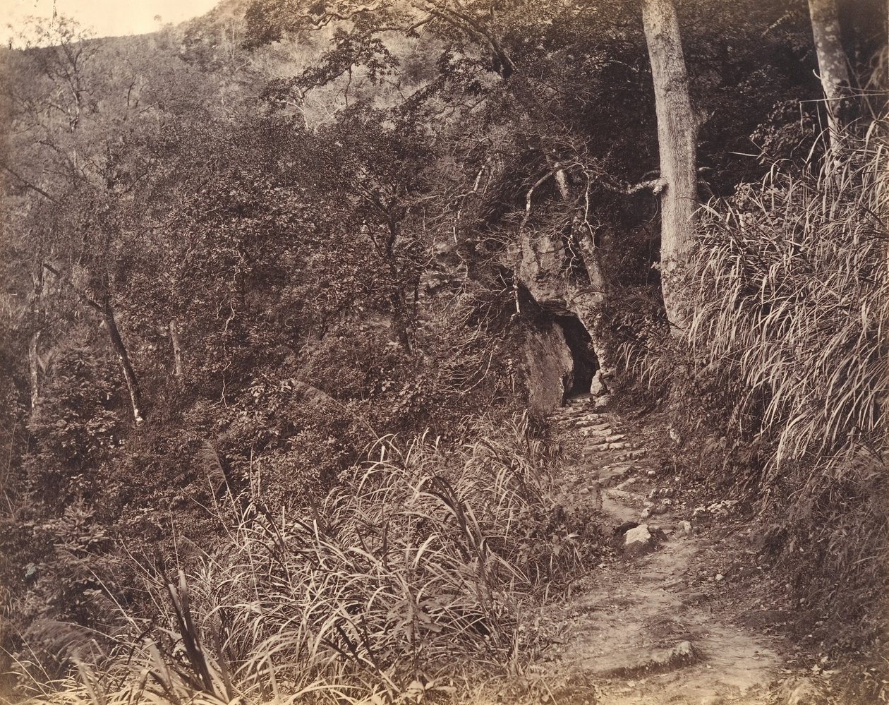Yuen foo Monastery までの道を左折します。 1869年。 作： アフォンライ