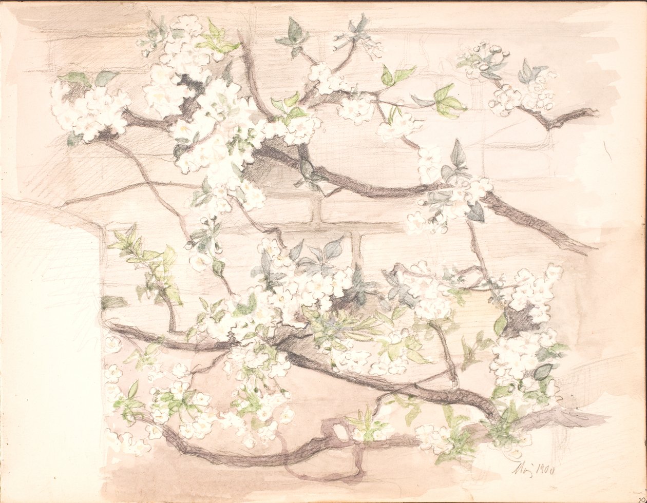 リンゴの花 作： アグネス・スロット・モラー
